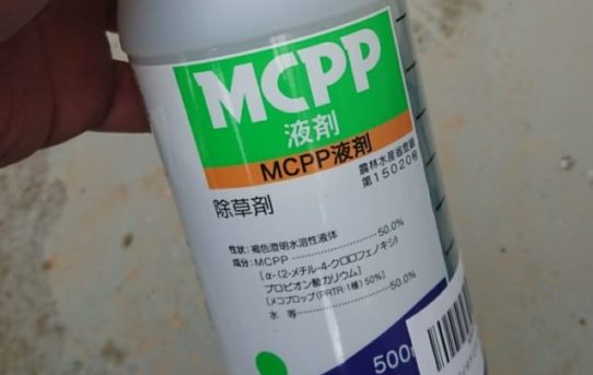 実験 : MCPP液剤（選択性除草剤）